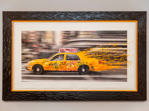 Mr brainwash cab