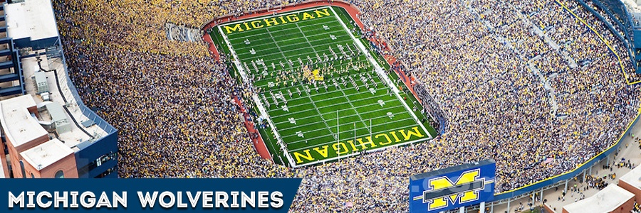 Michigan Wolverines