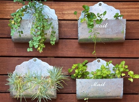 cute herb gardens