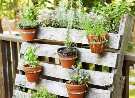 herb garden ideas