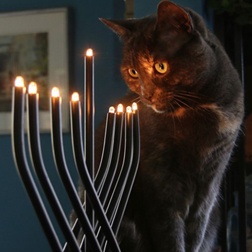 4. Light the menorah