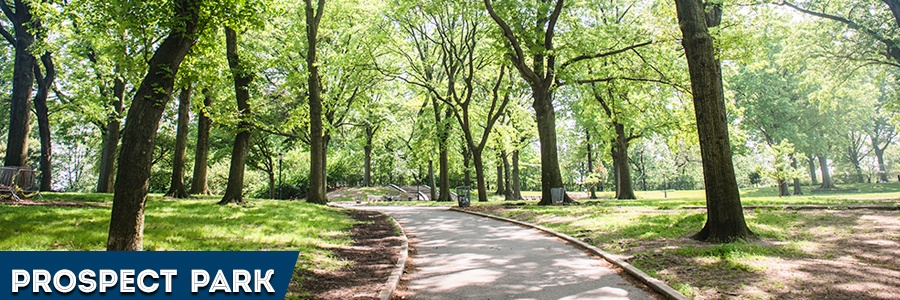 prospect_park_brooklyn.jpg