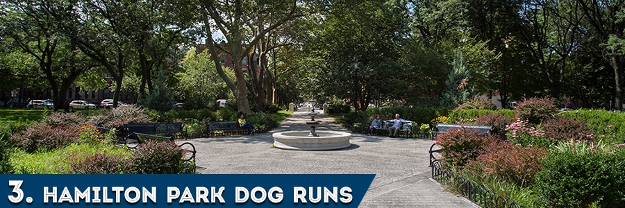 Hamilton Park Dog Runs