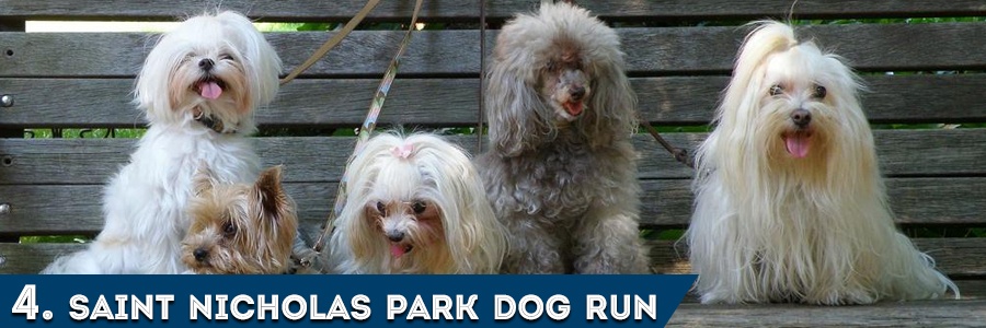 Saint Nicholas Park Dog Runs
