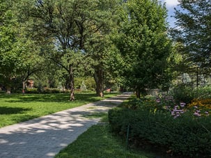 Jersey city parks