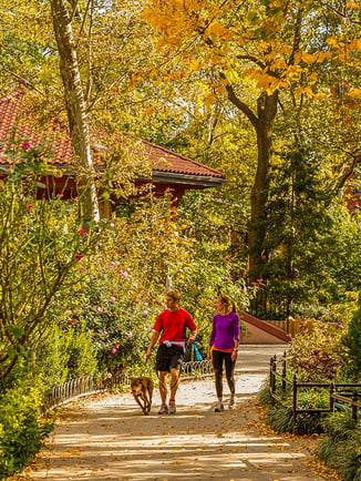 jersey city parks