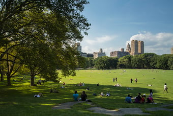 Central-Park-NYC