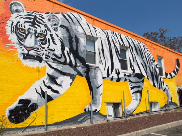 Jersey City Mural on JFK Boulevard titled Sunset Tiger by Esteban Kremen