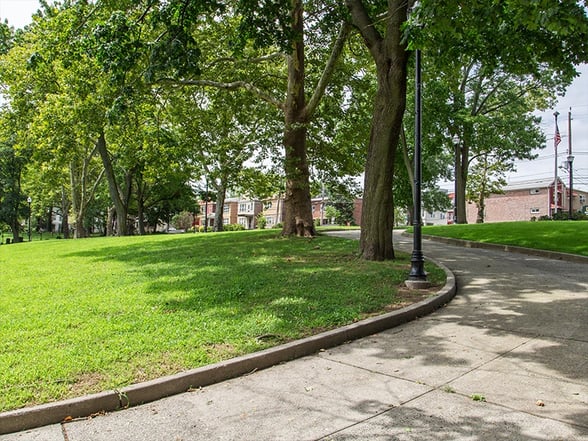 bayside park trees