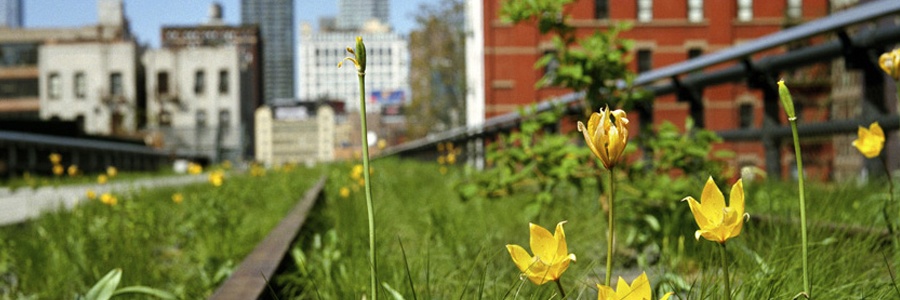 High Line