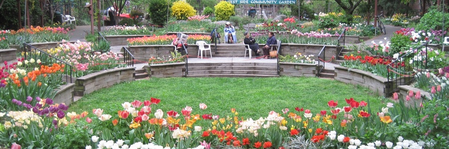 Westside Community Garden