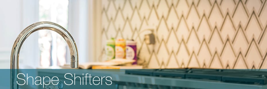 Shape Shifters Header Shape Shifters Header