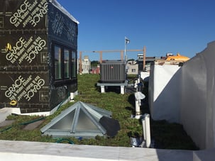 green roof install