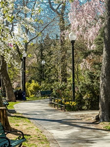 Van Vorst Park 