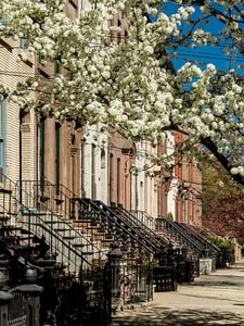 van vorst park street scape