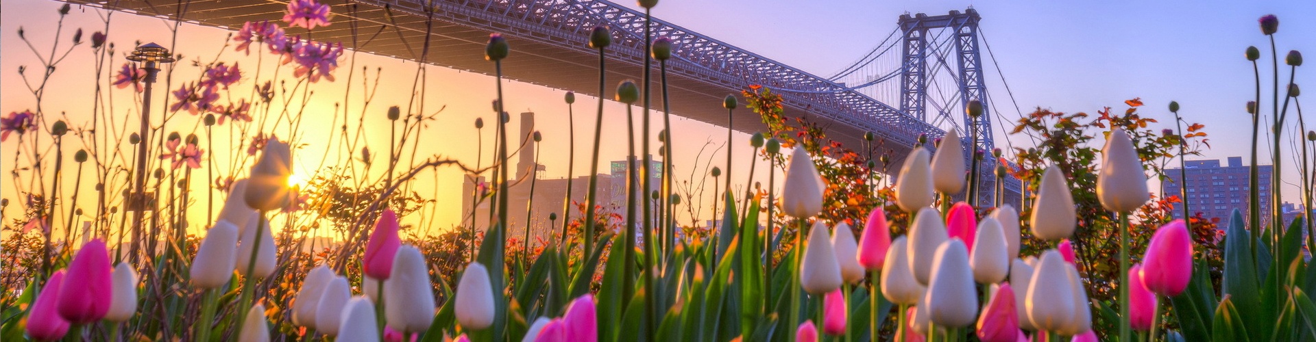 Spring in New York City